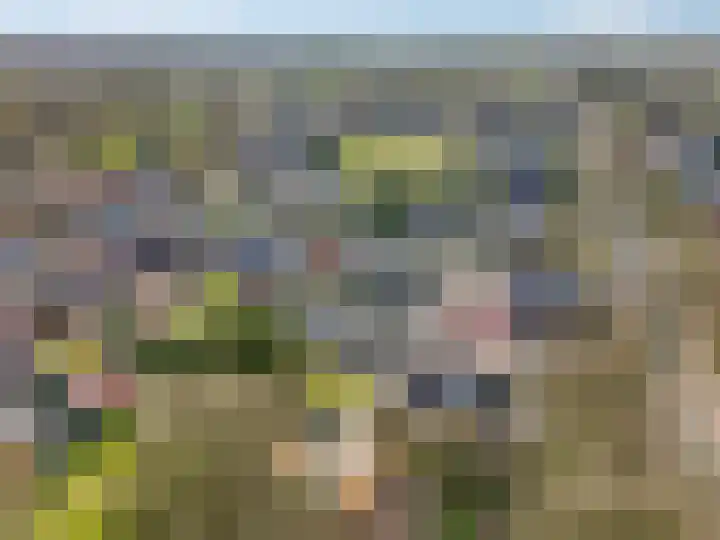 Ieplaan 3 Lunteren thumbnail 58