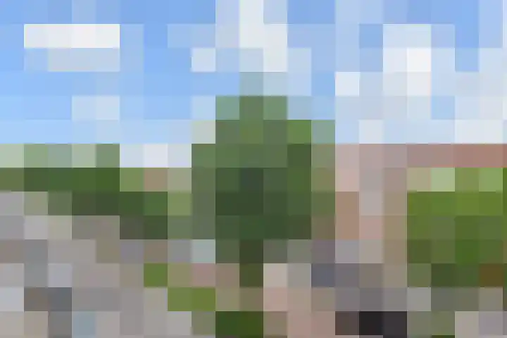 Ieplaan 42 Den Haag thumbnail 55