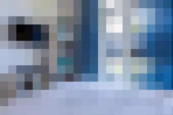 Ieplaan 49 Rijswijk thumbnail 17