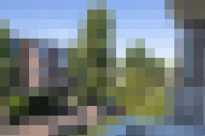 Ieplaan 49 Rijswijk thumbnail 19