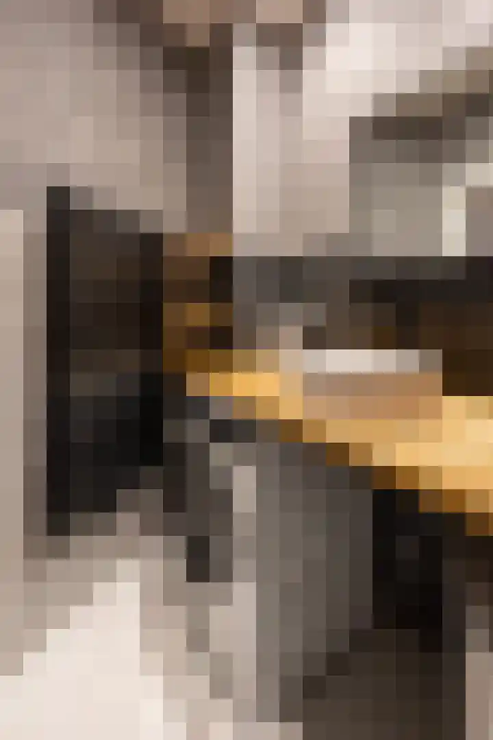 Ieplaan 49 Rijswijk thumbnail 24