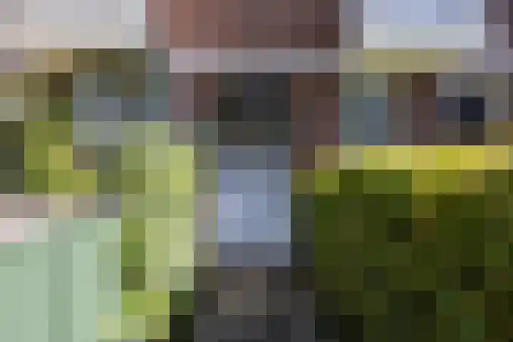 Ieplaan 49 Rijswijk thumbnail 30