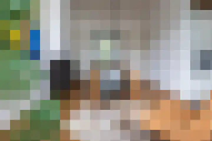 Ieplaan 49 Rijswijk thumbnail 6