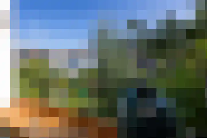 Ieplaan 49 Rijswijk thumbnail 9