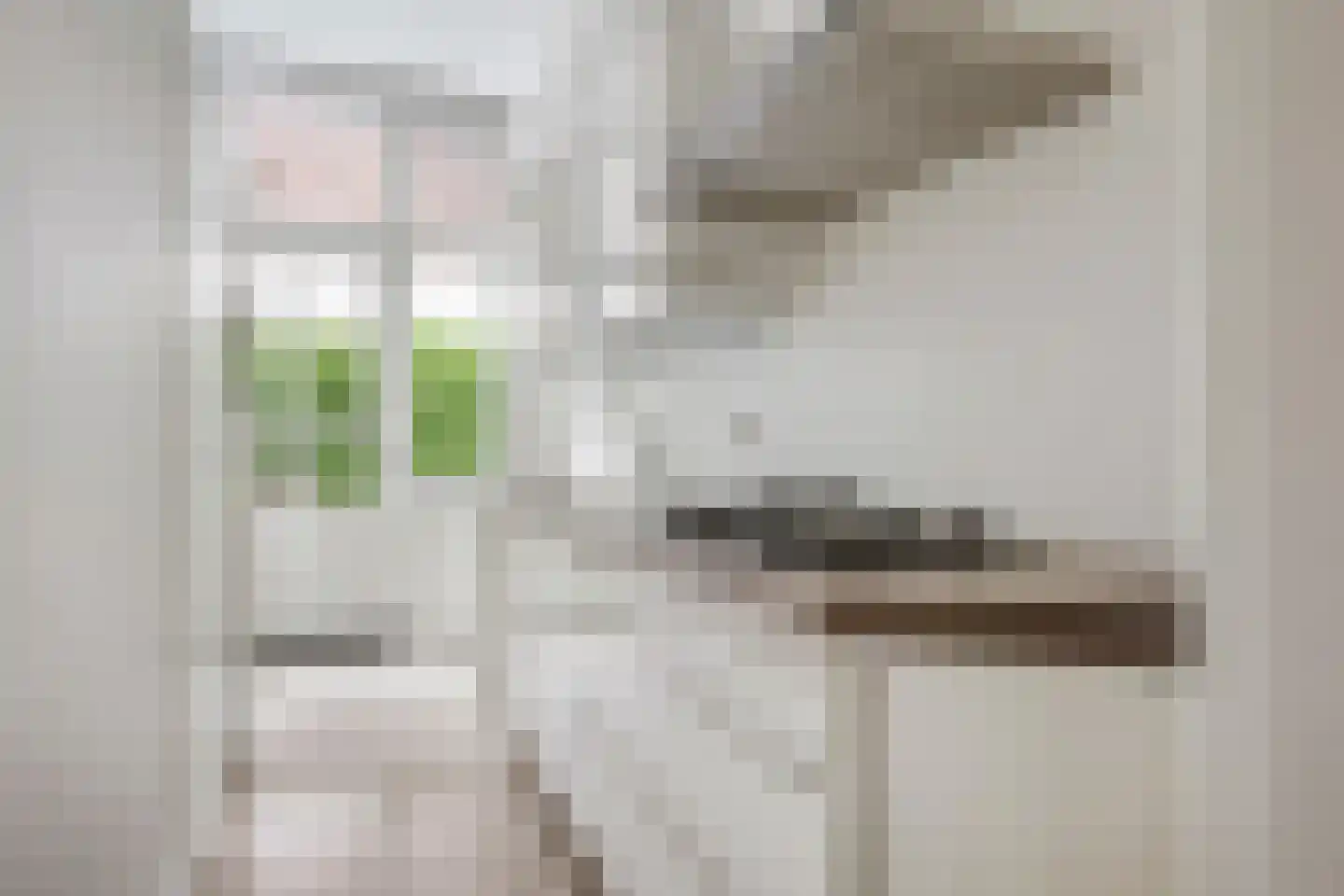 Ieplaan 5 Rijswijk thumbnail 13