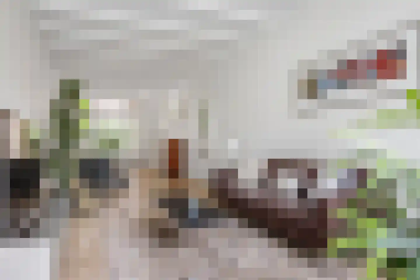 Ieplaan 5 Rijswijk thumbnail 6