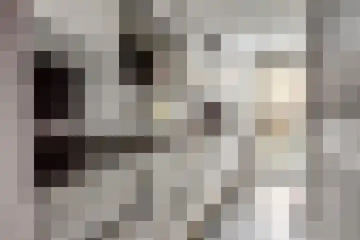 Ieplaan 51 Rijswijk thumbnail 10
