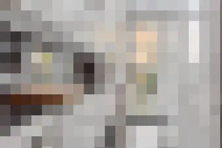 Ieplaan 51 Rijswijk thumbnail 11
