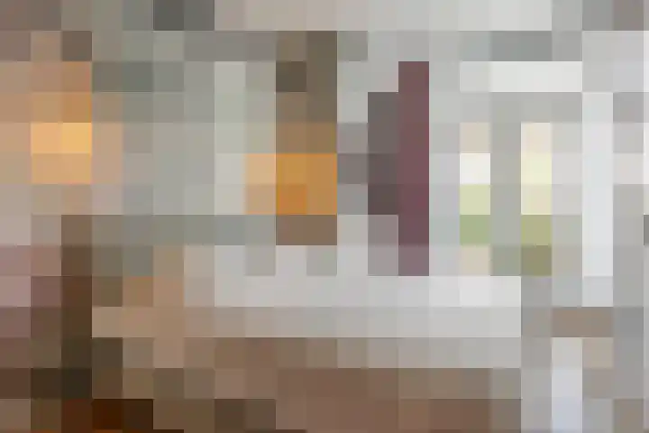 Ieplaan 51 Rijswijk thumbnail 14