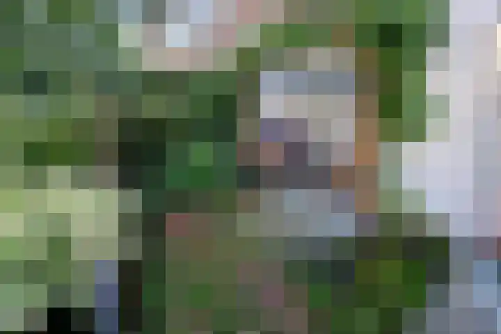 Ieplaan 51 Rijswijk thumbnail 28