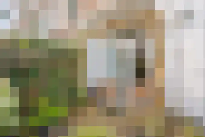 Ieplaan 51 Rijswijk thumbnail 29