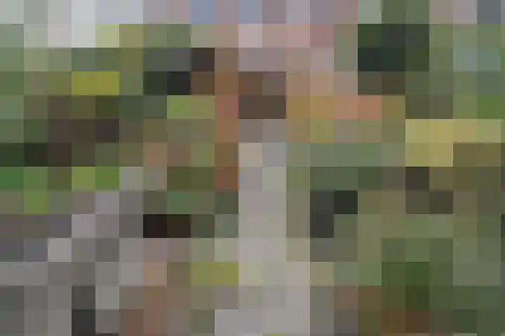 Ieplaan 51 Rijswijk thumbnail 31