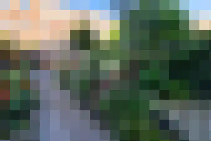 Ieplaan 51 Rijswijk thumbnail 33
