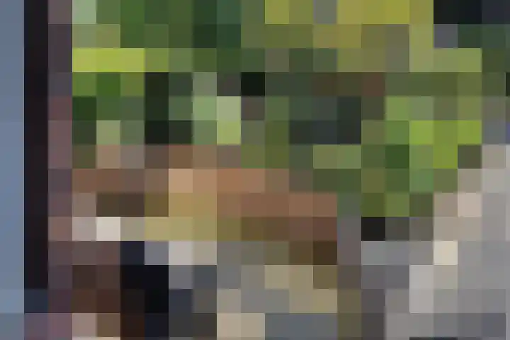 Ieplaan 51 Rijswijk thumbnail 38