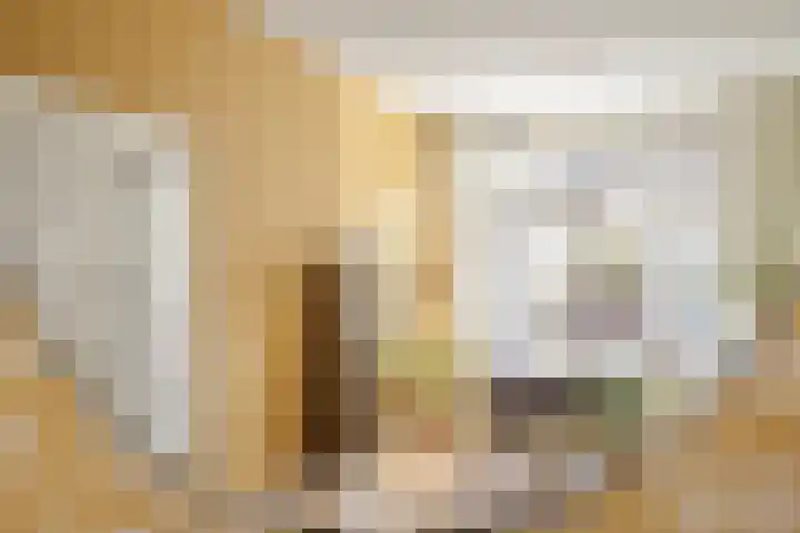 Ieplaan 51 Rijswijk thumbnail 5