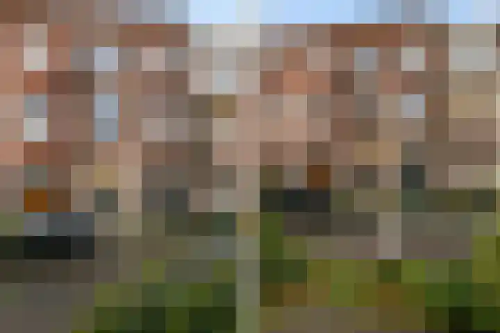Ieplaan 53 A Den Haag thumbnail 28