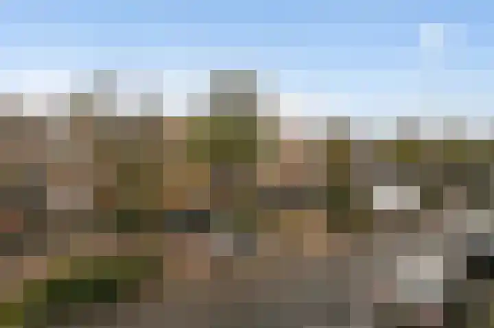 Ieplaan 53 A Den Haag thumbnail 6