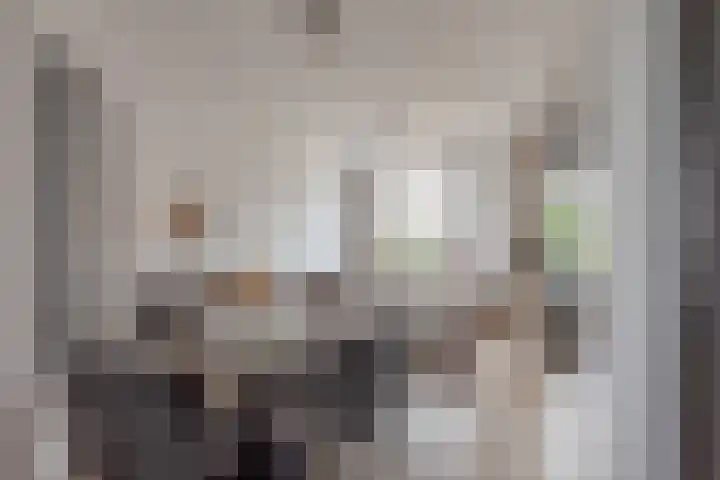 Ieplaan 54 Rijswijk thumbnail 15