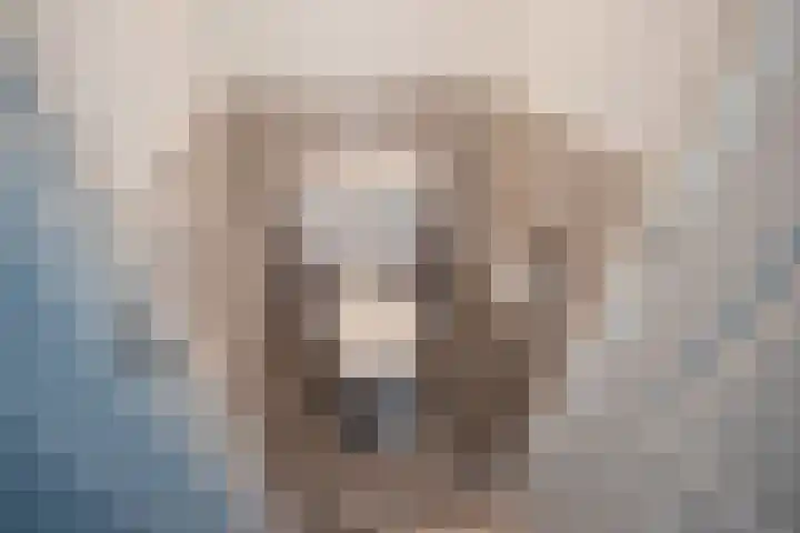 Ieplaan 54 Rijswijk thumbnail 31