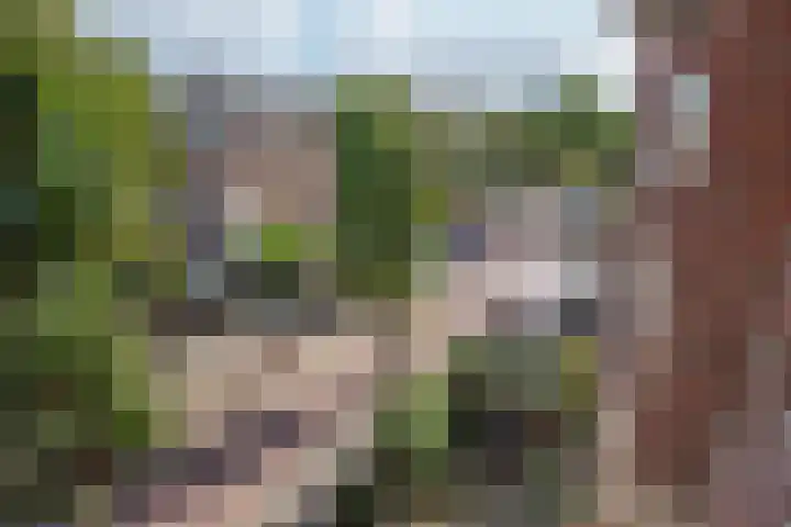 Ieplaan 54 Rijswijk thumbnail 33