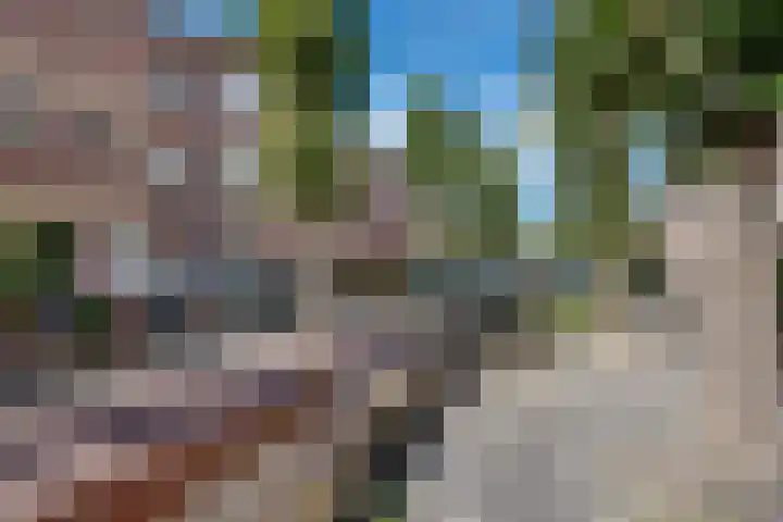 Ieplaan 54 Rijswijk thumbnail 34