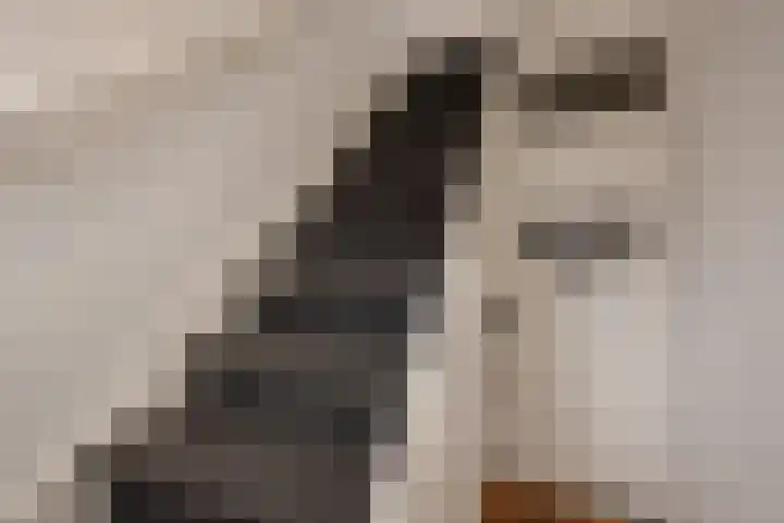 Ieplaan 54 Rijswijk thumbnail 7