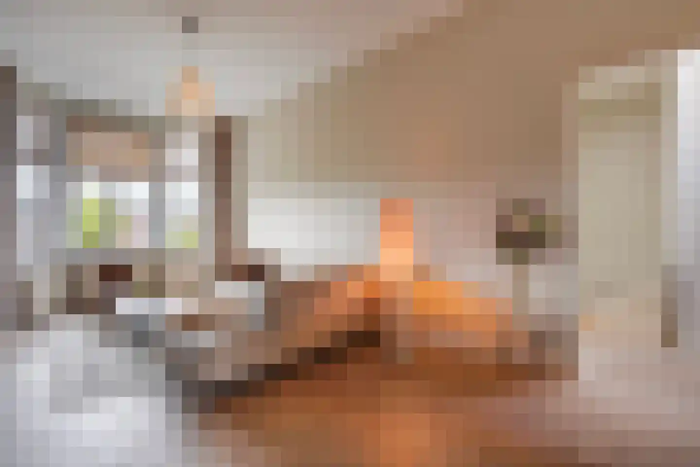 Ieplaan 59 Rijswijk thumbnail 17