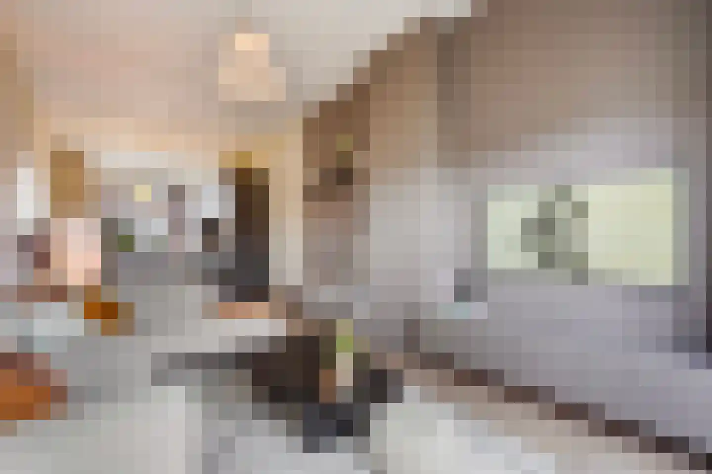 Ieplaan 59 Rijswijk thumbnail 18