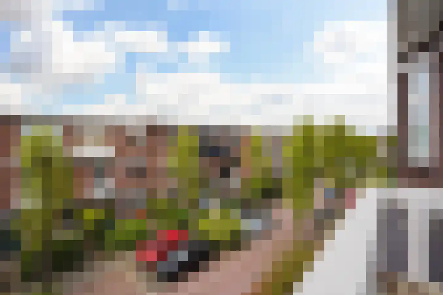 Ieplaan 59 Rijswijk thumbnail 27
