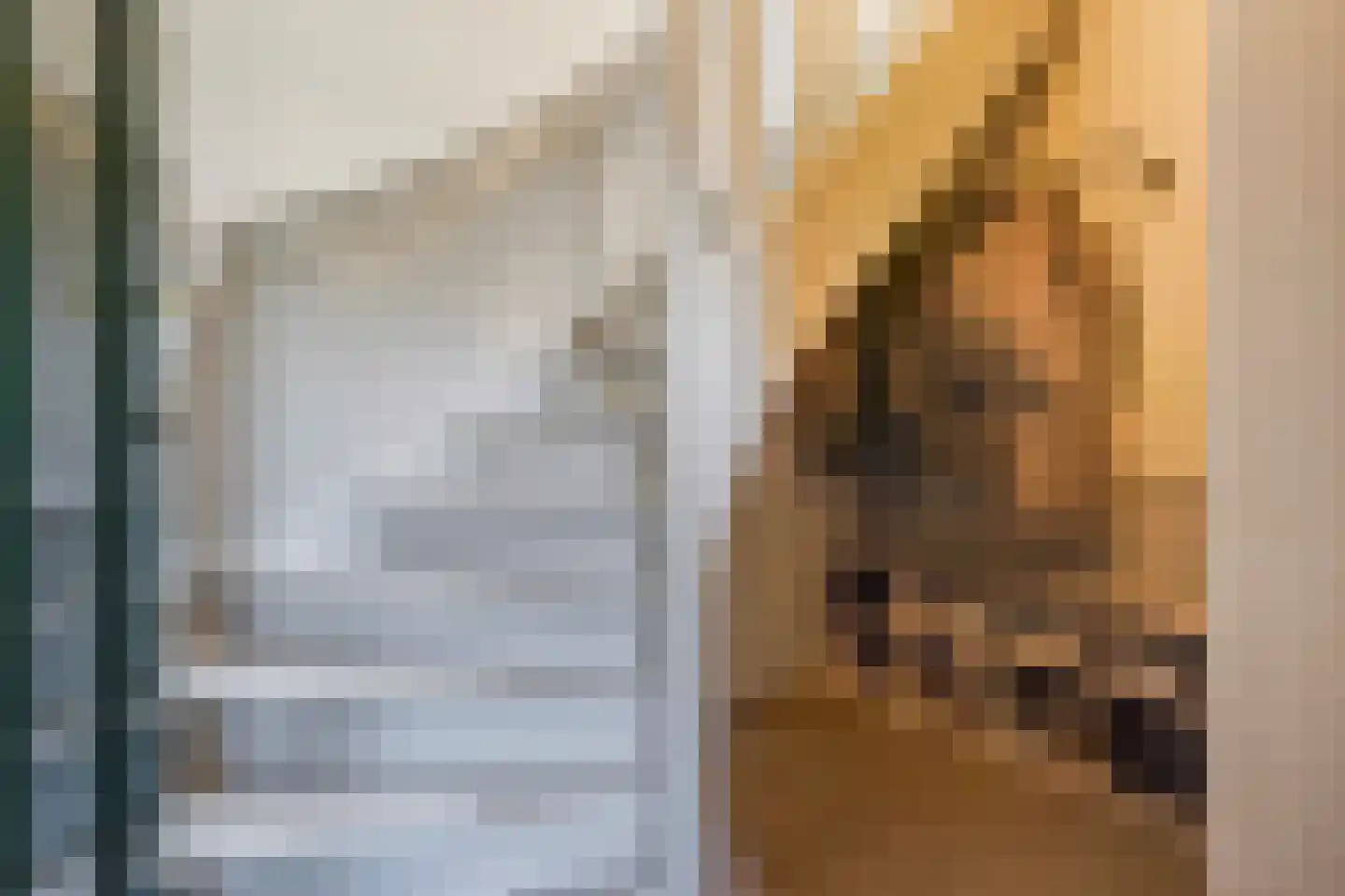 Ieplaan 59 Rijswijk thumbnail 7
