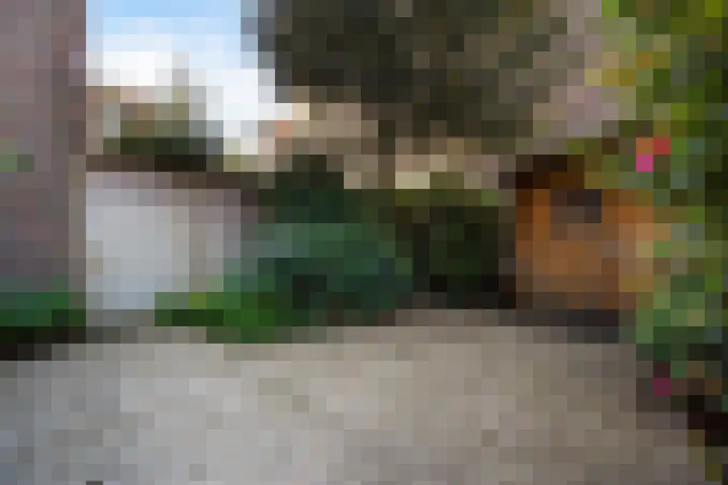 Ieplaan 64 Den Haag thumbnail 25