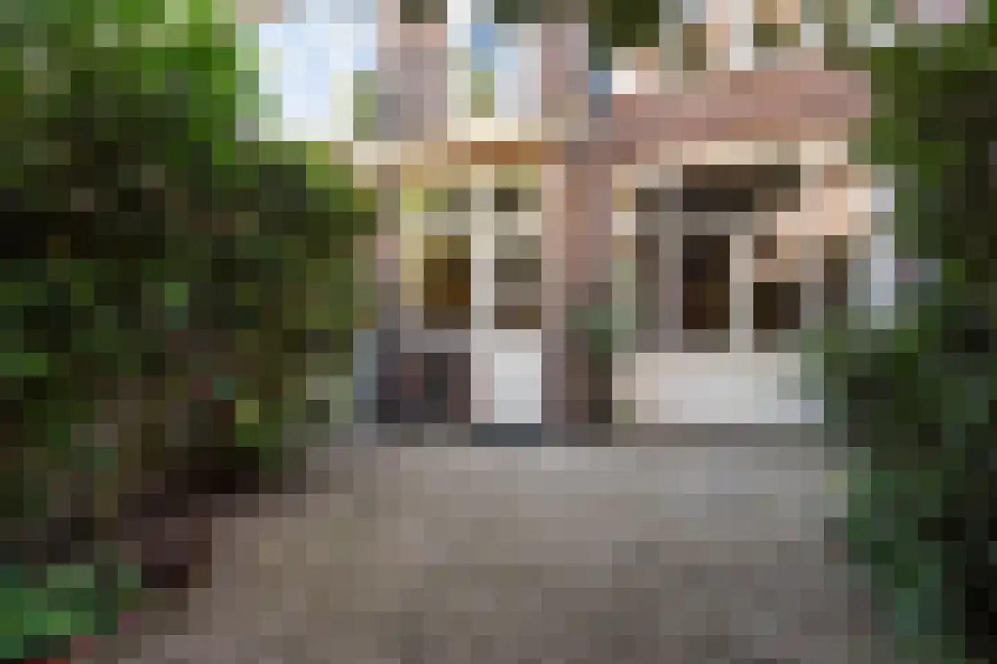 Ieplaan 64 Den Haag thumbnail 26