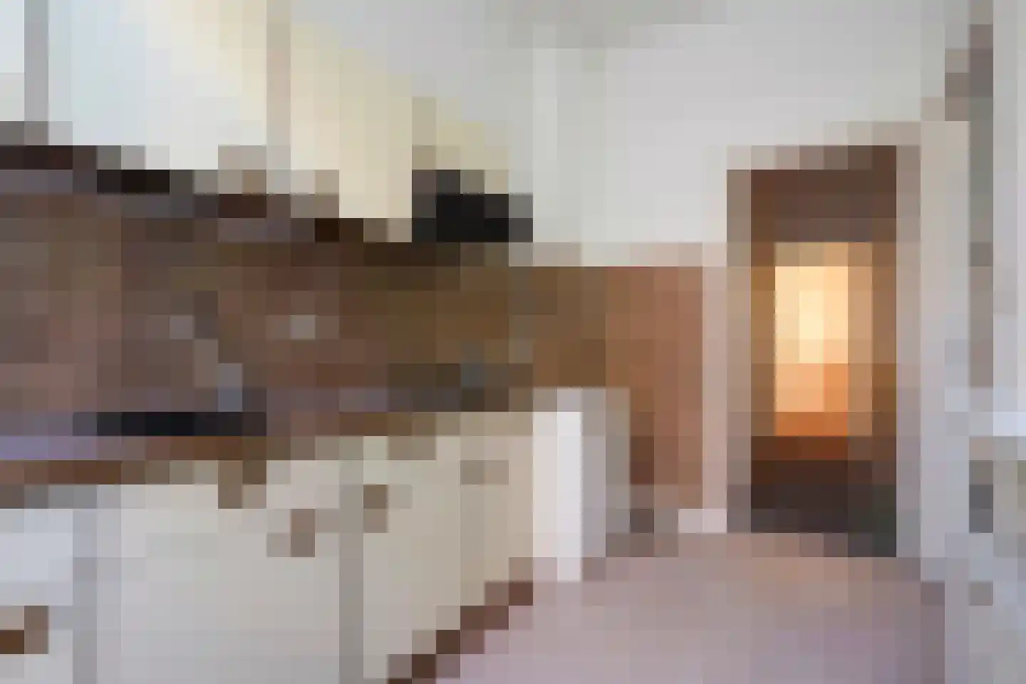 Ieplaan 64 Den Haag thumbnail 36