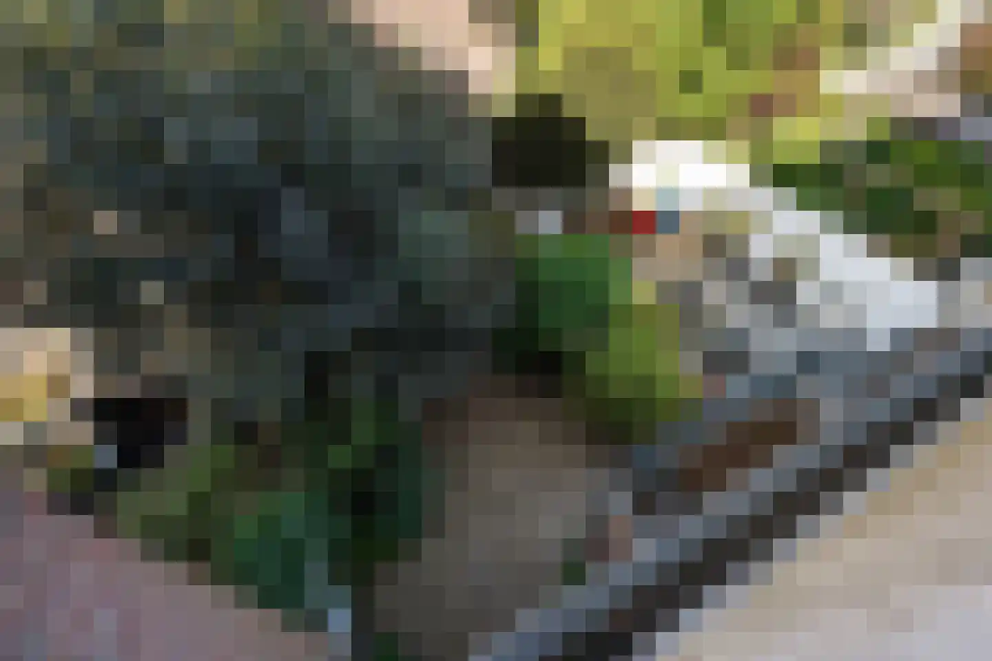 Ieplaan 64 Den Haag thumbnail 37