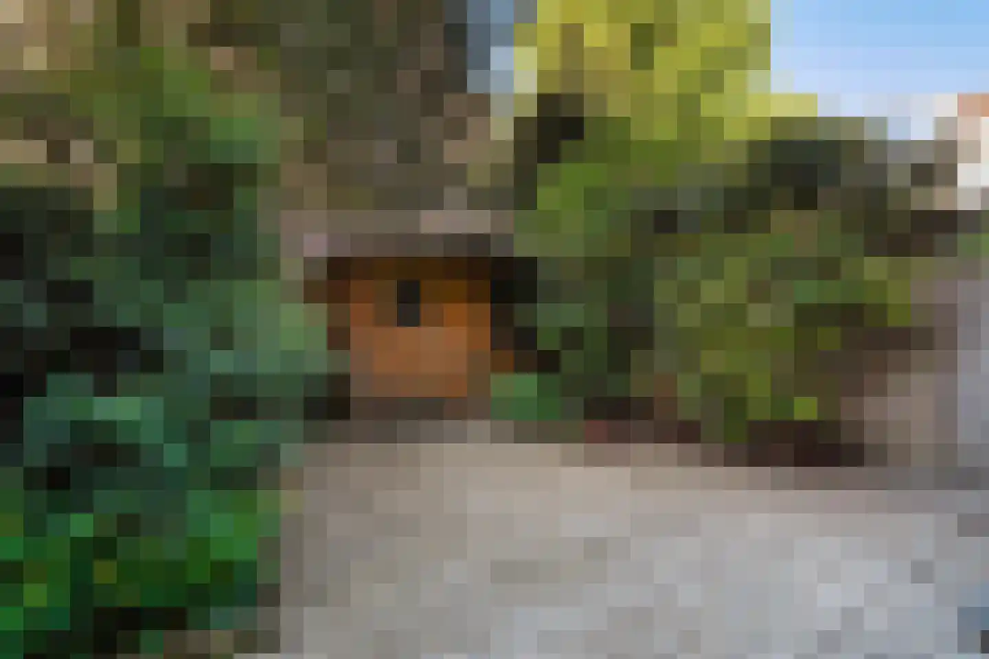 Ieplaan 64 Den Haag thumbnail 5