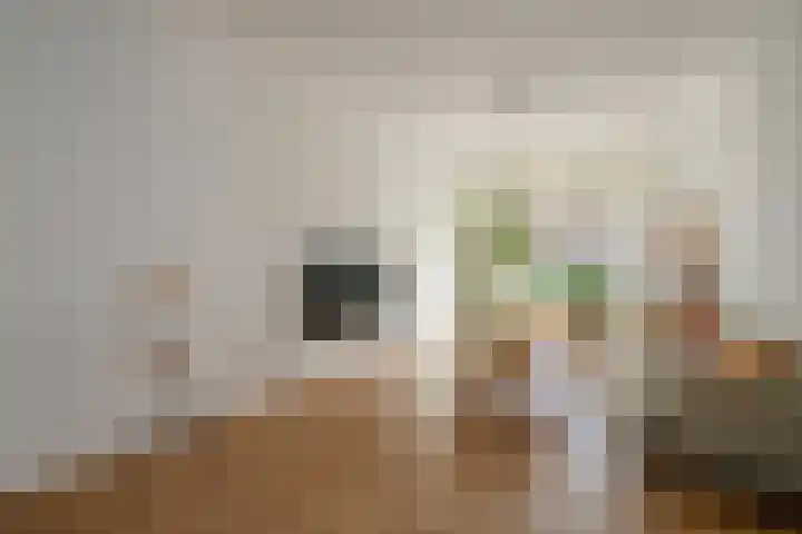 Ieplaan 66 Den Haag thumbnail 10