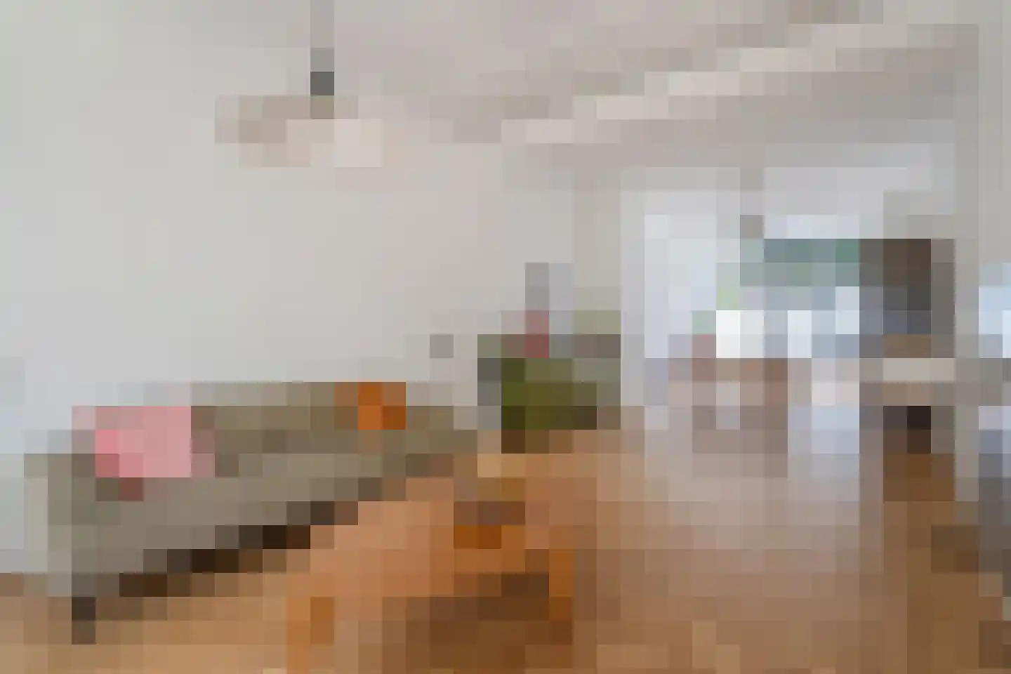 Ieplaan 66 Den Haag thumbnail 14