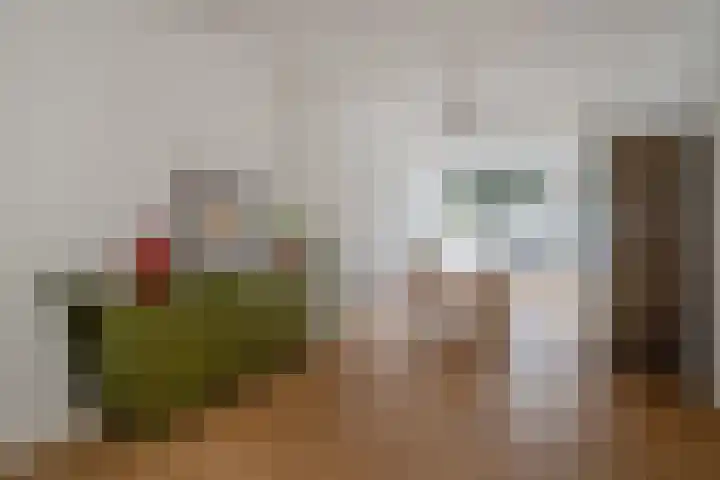 Ieplaan 66 Den Haag thumbnail 15
