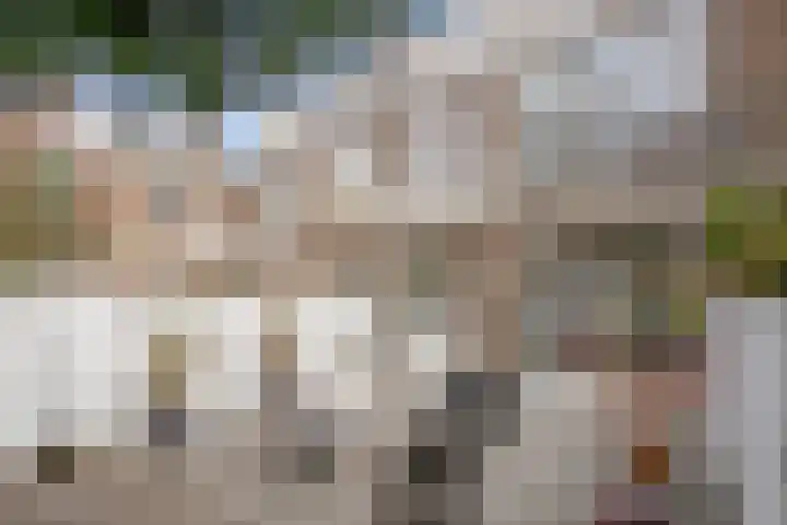 Ieplaan 66 Den Haag thumbnail 18