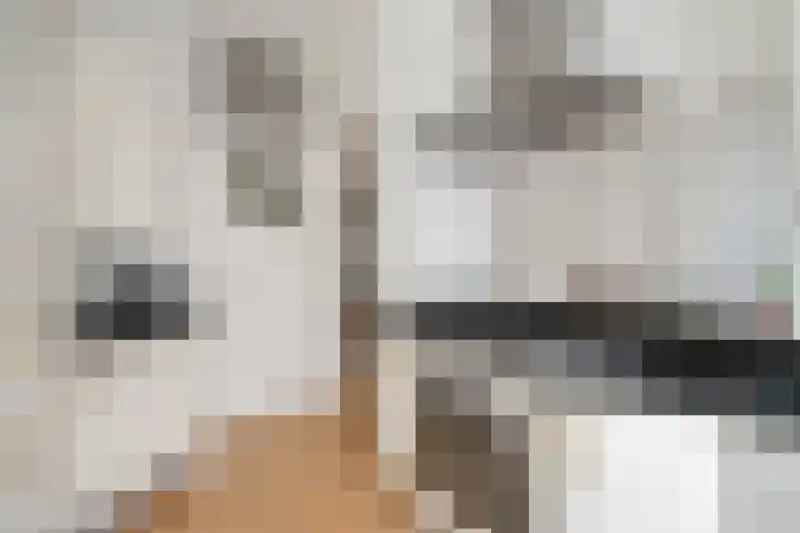 Ieplaan 66 Den Haag thumbnail 23
