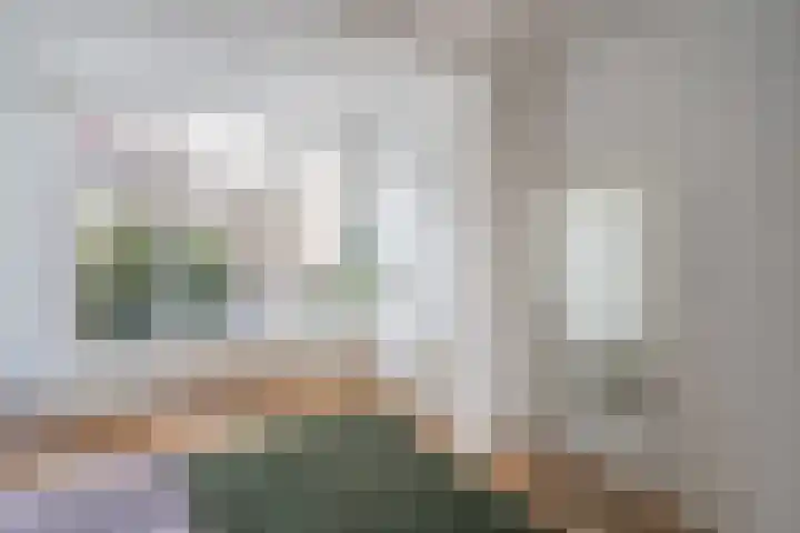 Ieplaan 66 Den Haag thumbnail 32