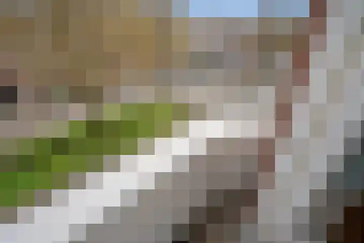 Ieplaan 66 Den Haag thumbnail 46