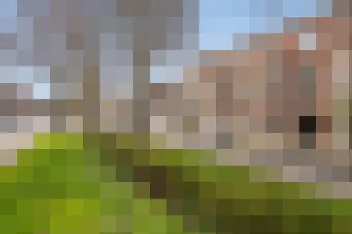 Ieplaan 66 Den Haag thumbnail 50