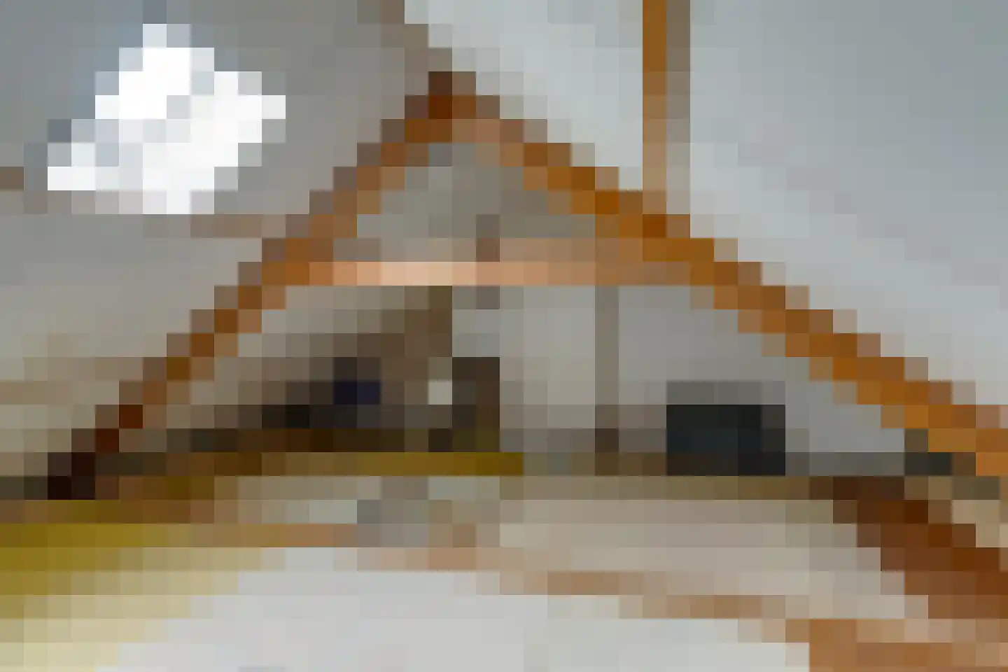 Ieplaan 72 Waddinxveen thumbnail 35