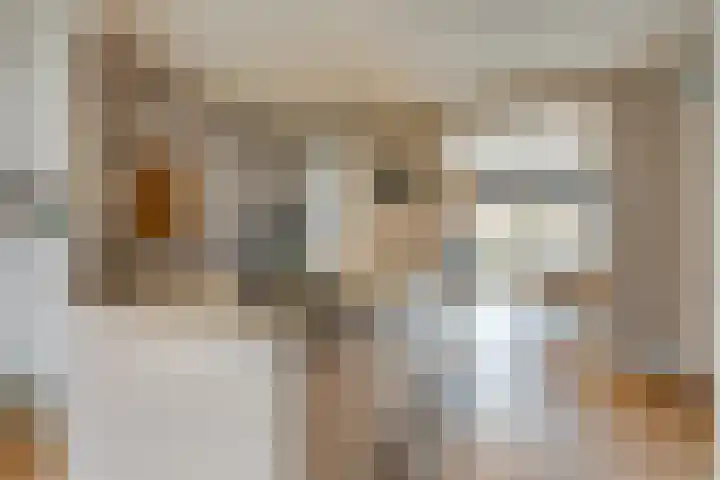Ieplaan 74 Waddinxveen thumbnail 11