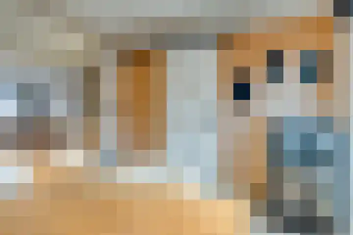 Ieplaan 74 Waddinxveen thumbnail 20