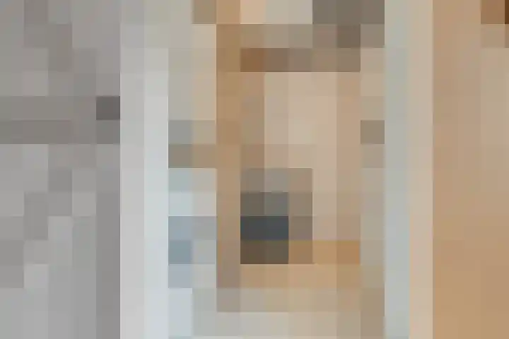 Ieplaan 74 Waddinxveen thumbnail 21