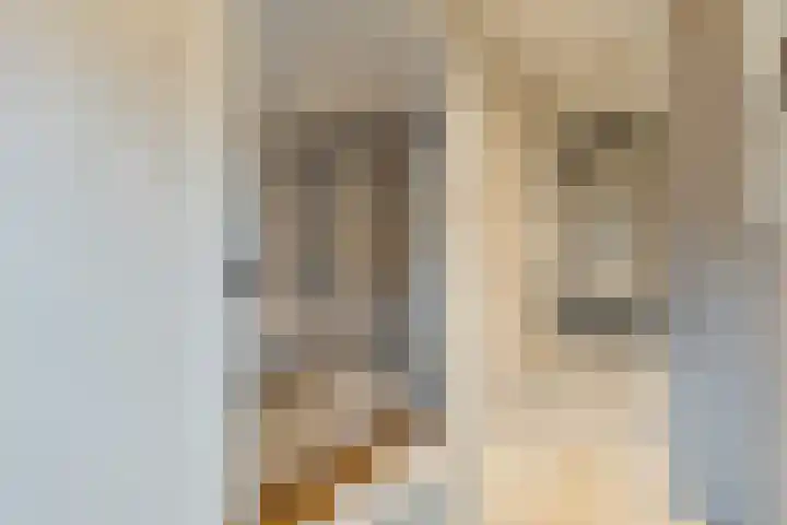Ieplaan 74 Waddinxveen thumbnail 24