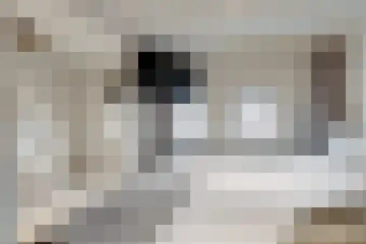 Ieplaan 74 Waddinxveen thumbnail 27