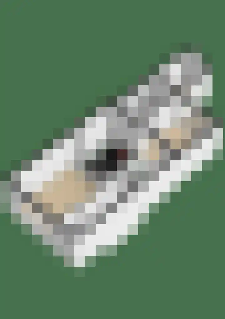 Ieplaan 74 Waddinxveen thumbnail 43
